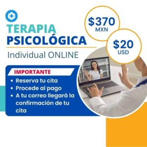 Terapia Psicológica Individual Online